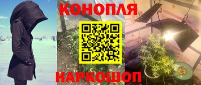 каннабис Славгород