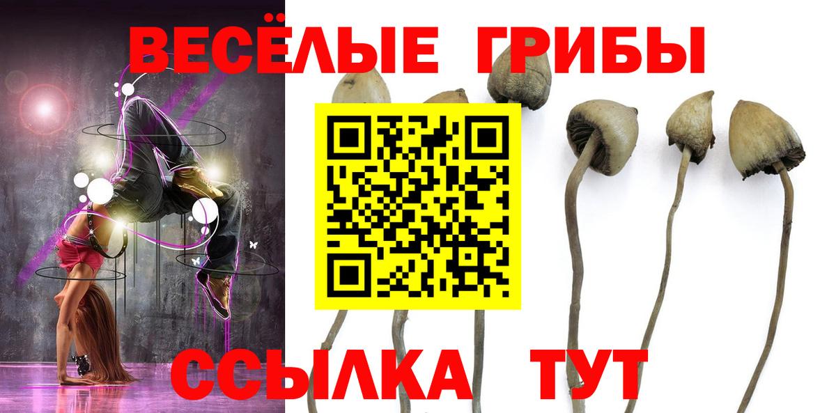 Сегежа  магазин  наркотиков  Вход с VPN  Псилоцибиновые грибы Cubensis 